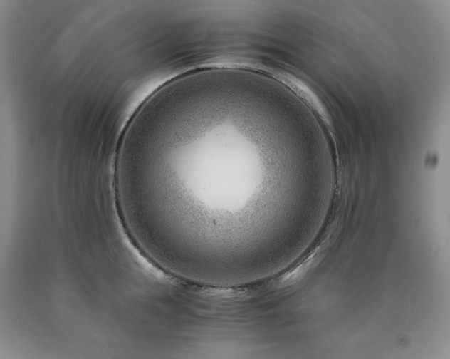 X0000090880855200707271310