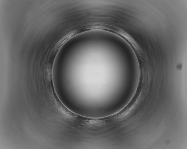 X0000090880857200707271310