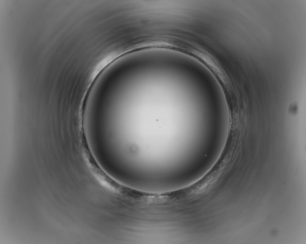 X0000090880858200707271310