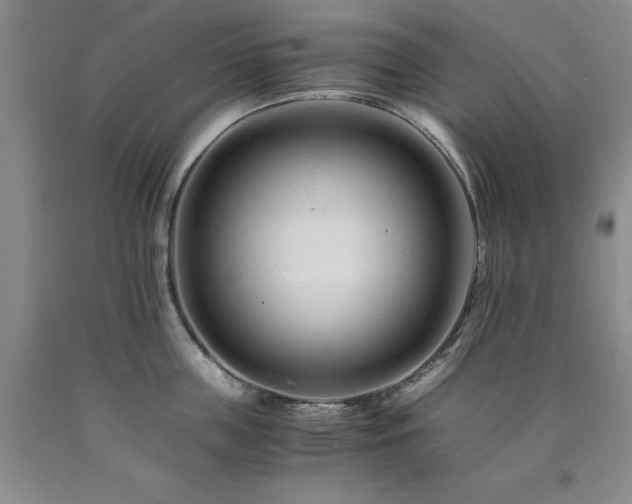 X0000090880859200707271310