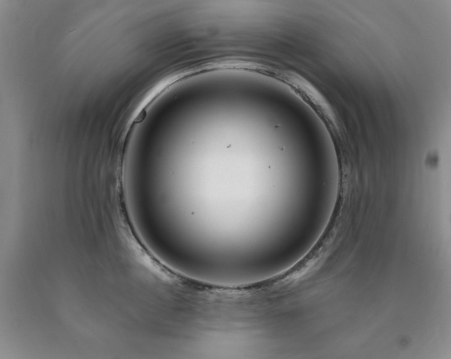 X0000090880860200707271310