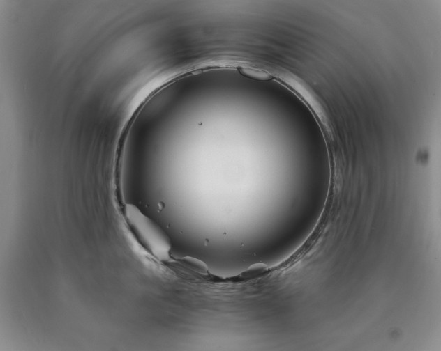 X0000090880861200707271310