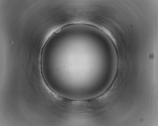 X0000090880863200707271310