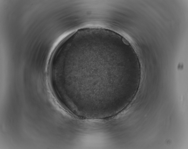 X0000090880864200707271310