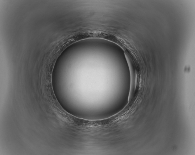 X0000090880865200707271309