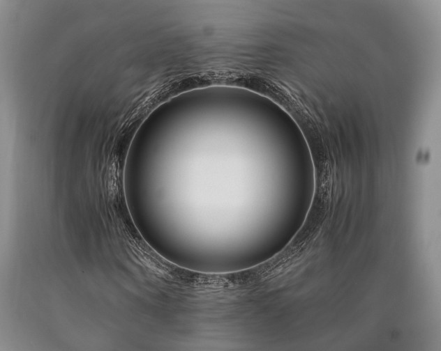 X0000090880866200707271309