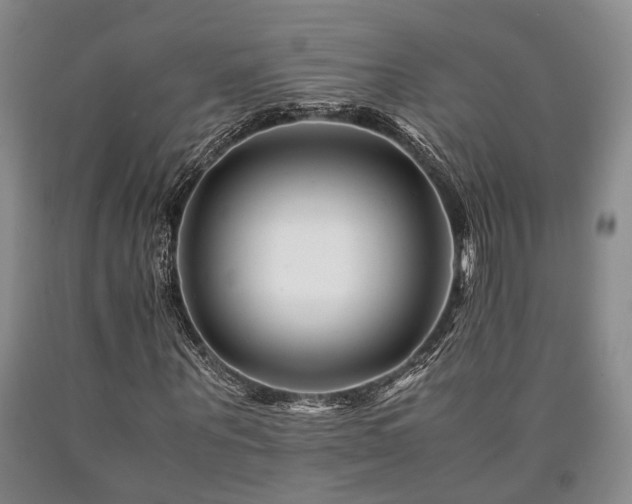 X0000090880867200707271309
