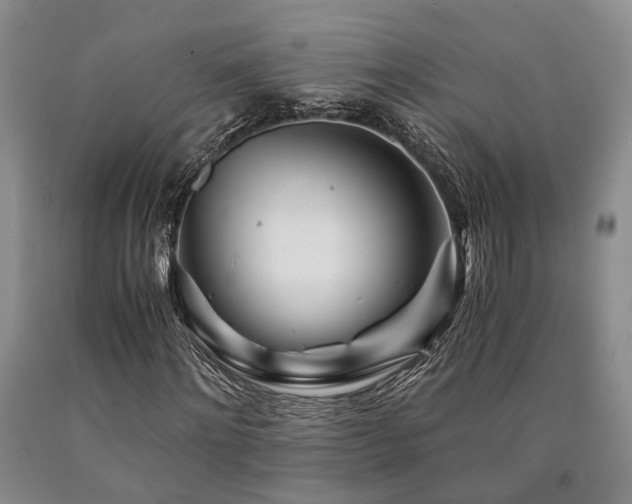 X0000090880868200707271309