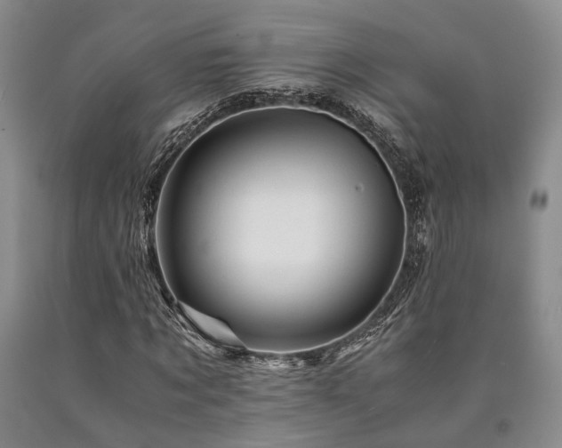X0000090880869200707271309