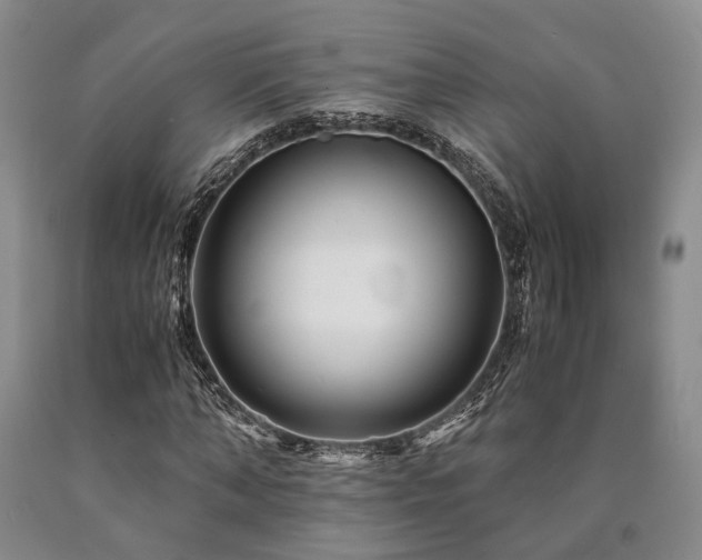 X0000090880870200707271309