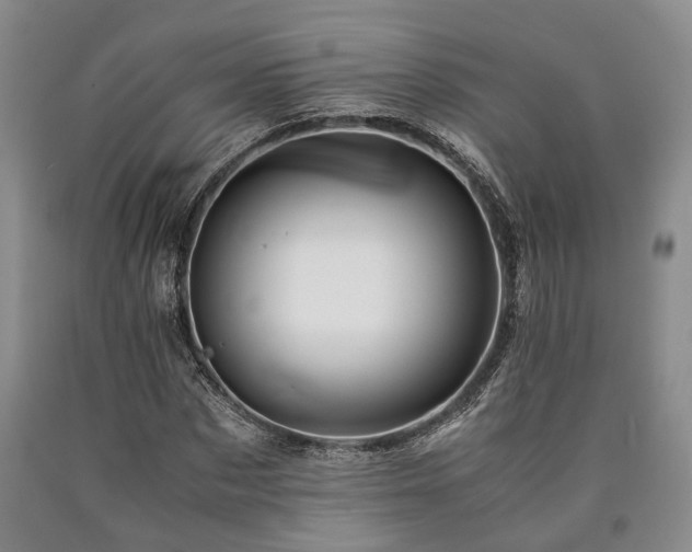 X0000090880873200707271309