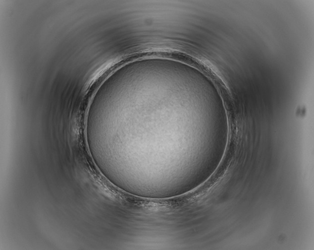 X0000090880874200707271309