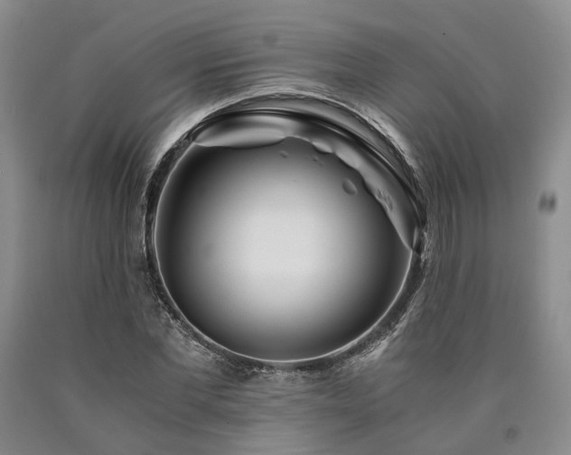 X0000090880877200707271309