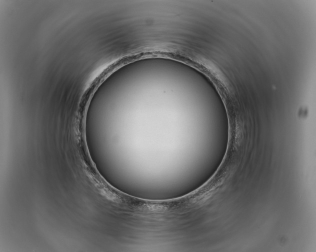 X0000090880878200707271309