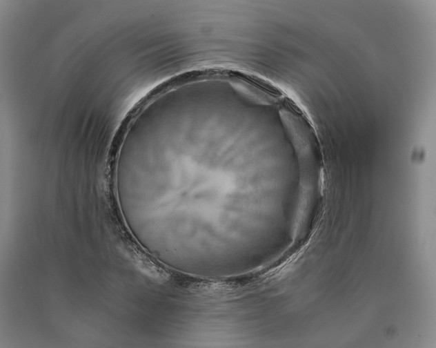 X0000090880879200707271309