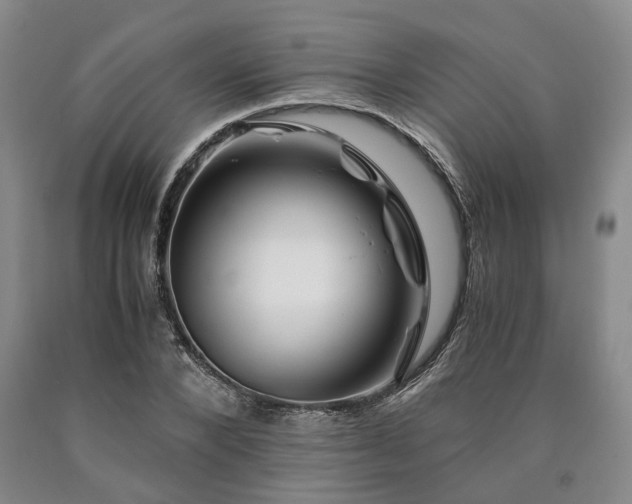 X0000090880880200707271309
