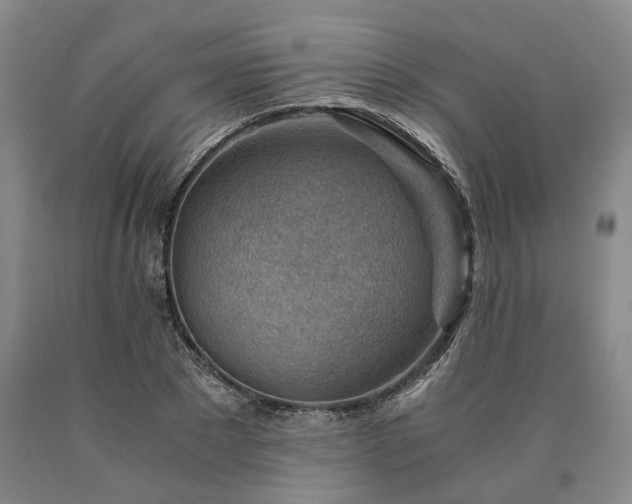 X0000090880881200707271309