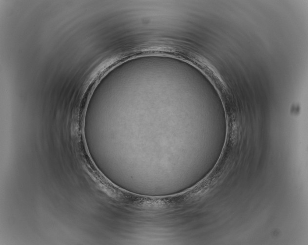 X0000090880882200707271309
