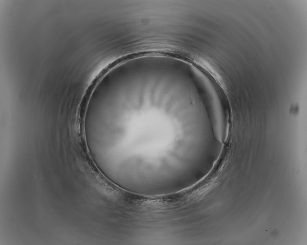 X0000090880883200707271309