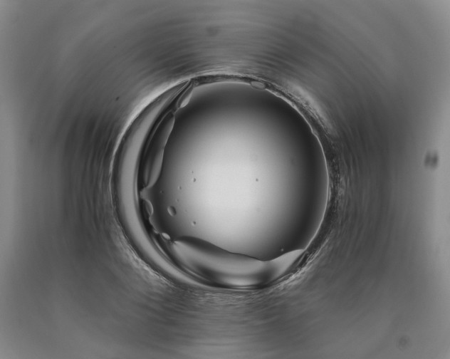X0000090880884200707271309