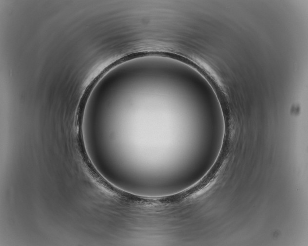 X0000090880885200707271309