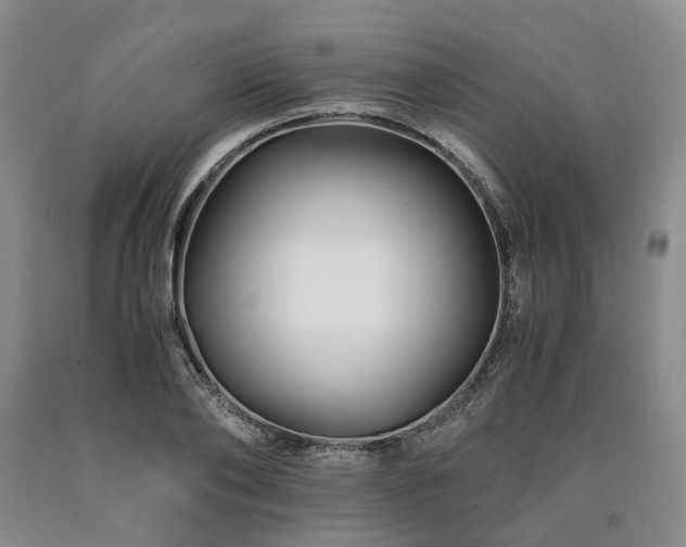X0000090880886200707271309