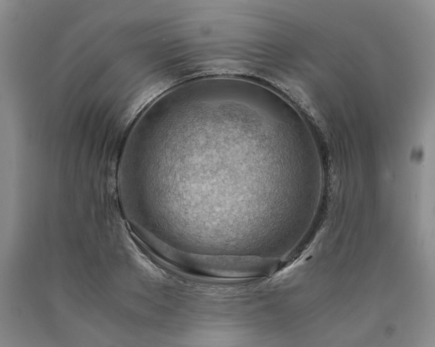 X0000090880889200707271309