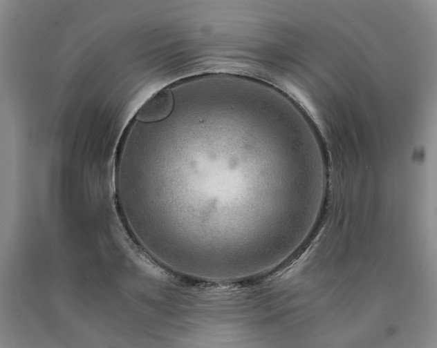 X0000090880891200707271309