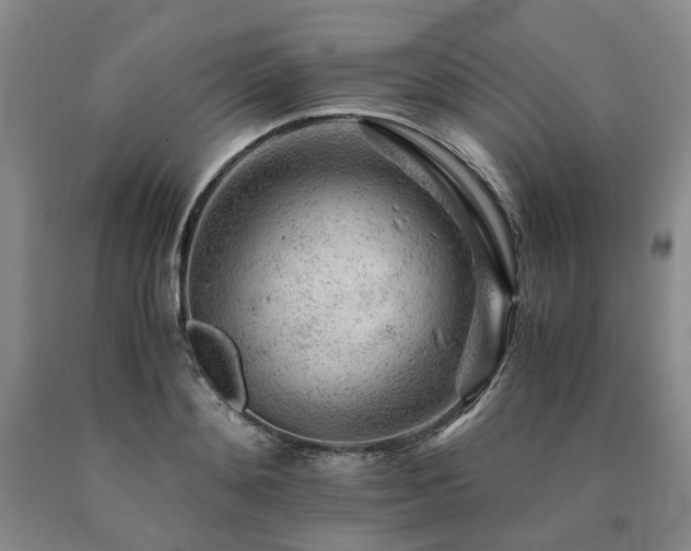 X0000090880892200707271309