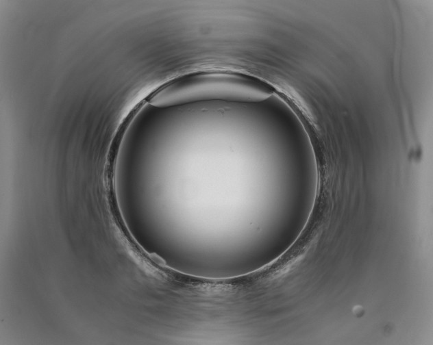 X0000090880893200707271309