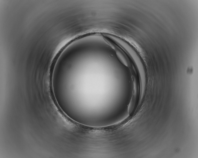 X0000090880894200707271309
