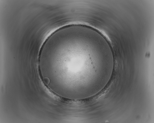 X0000090880895200707271309