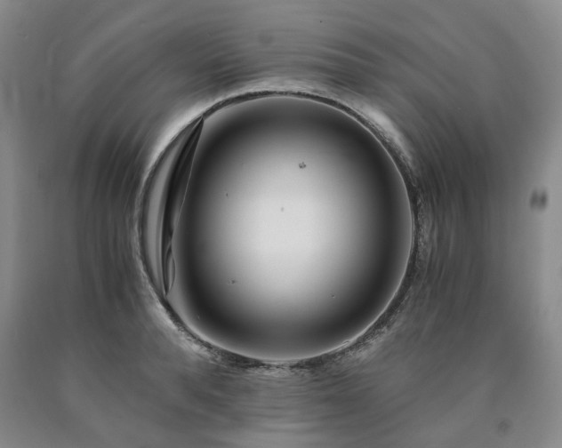 X0000090880896200707271309