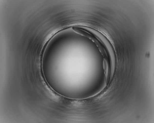 X0000090880898200707271309