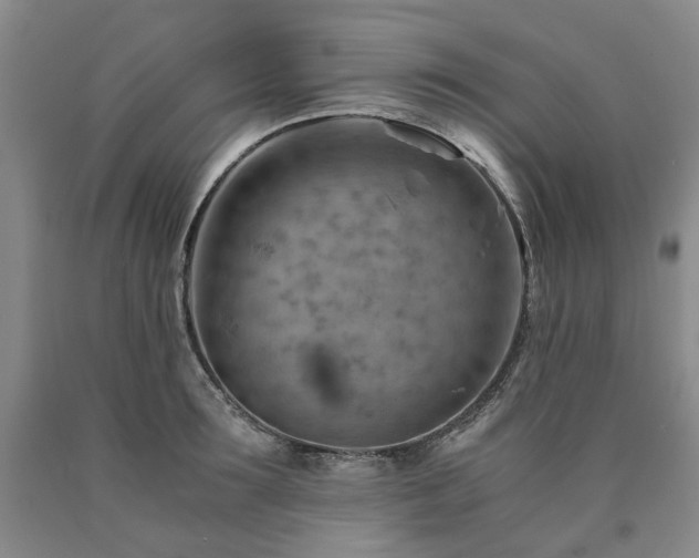 X0000090880899200707271309