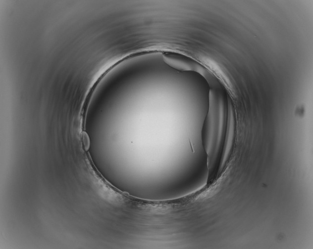 X0000090880900200707271309