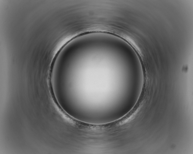 X0000090880901200707271309