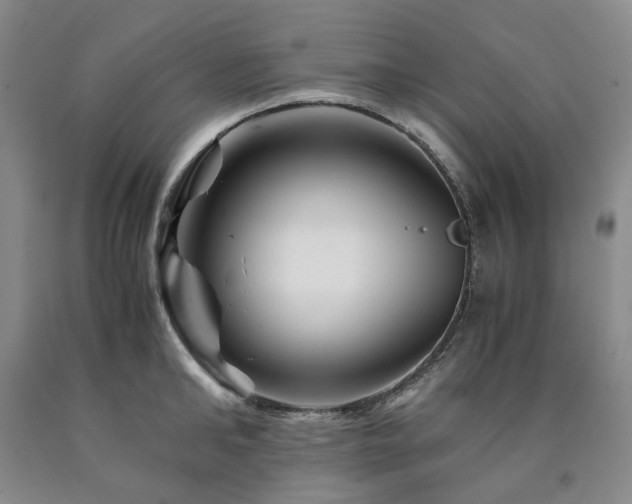 X0000090880902200707271309