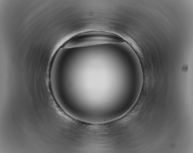 X0000090880904200707271309