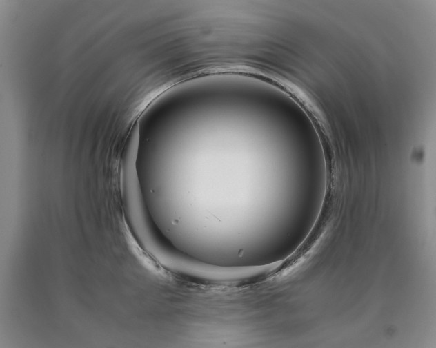 X0000090880905200707271309