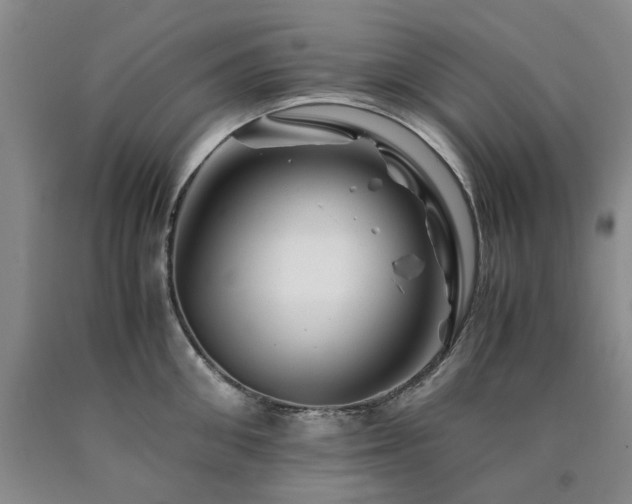 X0000090880906200707271309