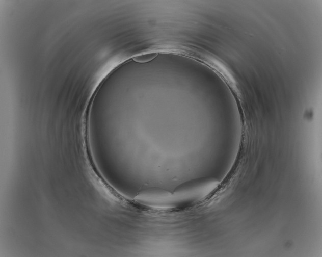 X0000090880907200707271309