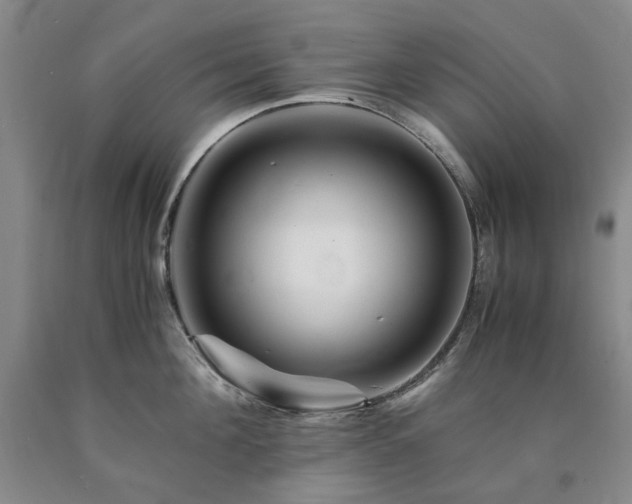 X0000090880908200707271309