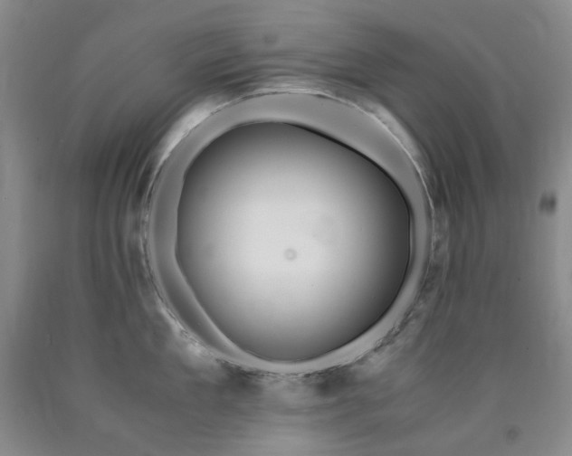 X0000090880909200707271309