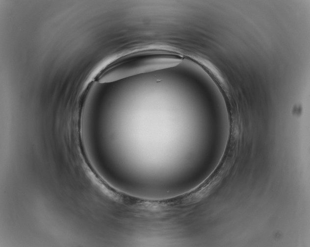 X0000090880910200707271309
