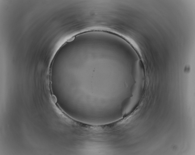 X0000090880911200707271308