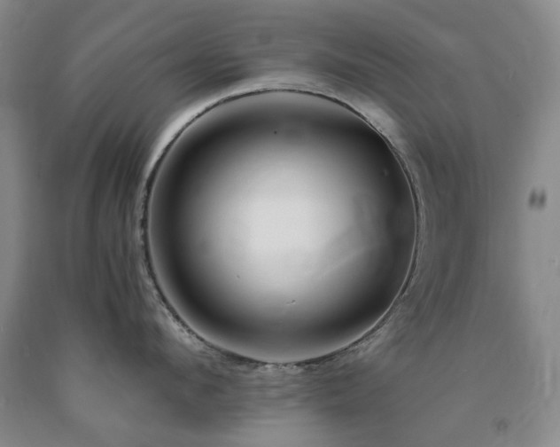 X0000090880912200707271308