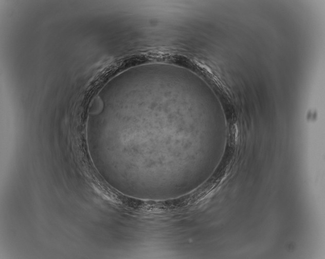 X0000090880913200707271308