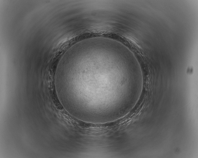 X0000090880917200707271308