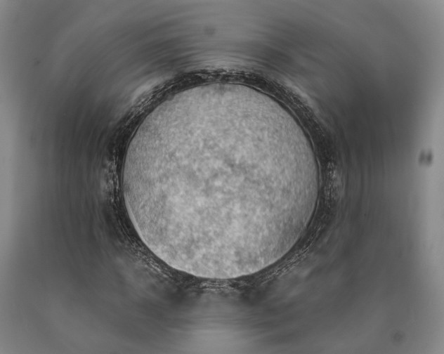 X0000090880918200707271308
